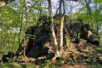 Lopata