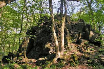 Zdivo na skále ( © Luděk Pitter 05/2005)