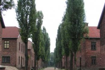 Auschwitz I. ( © Petr Turyna 07/2004)