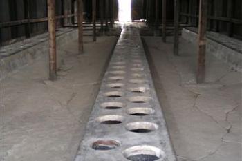 Auschwitz II. Birkenau ( © Petr Turyna 07/2004)