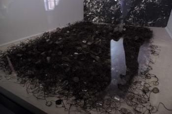  (© František Kinař, 09/2013)