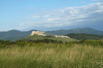  ( © Milan Caha 08/2012)