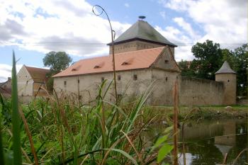 Kestřany - Dolní tvrz, severovýchodní pohled (© Josef Sosna, 10/2011)