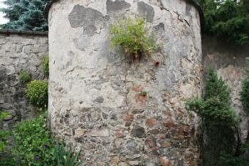 Bašta v dnešní ohradní zdi parčíku ( © Filip Matoušek 06/2005)