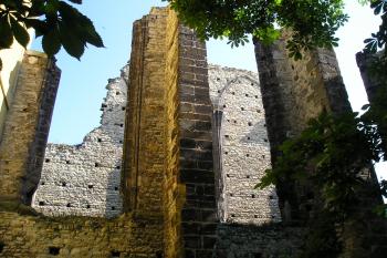  (© M.Schichová, 07/2008)