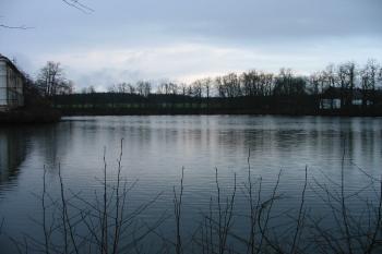 zámecký rybník (© D Dohňanský, 12/2014)