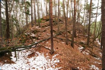 Celkový pohled na zbytky hrádku z prostoru příkopu, od západu ( © Filip Matoušek 01/2004)