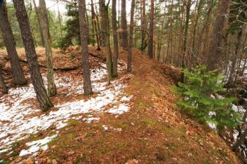 Severozápadní část jádra a svah do příkopu ( © Filip Matoušek 01/2004)
