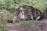 Myślenice