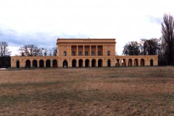 Pohansko ze severu (© Iva Spurná 03/2004)