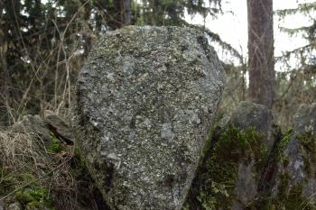  (© Michal Brůža, 03/2012)