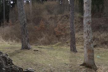  (© Michal Brůža, 03/2012)