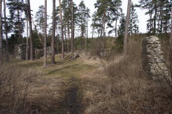  (© Michal Brůža, 03/2012)