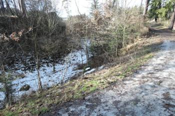 Cesta po koruně valu (© Jan Večeřa, 02/2016)