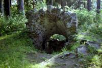 Mitrov
