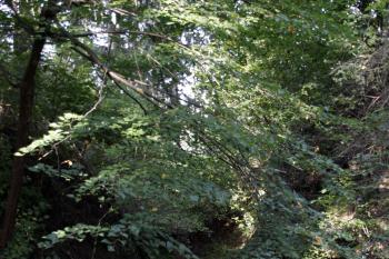 Příkop na jihu ( © Iva Spurná 27.9.2009)