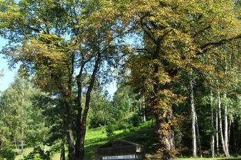 portál Mariánské štoly ( © Milan Caha 08/2009)