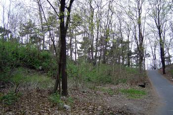 Pravěký val pod hradem (© Prudký Martin, 04/2004)