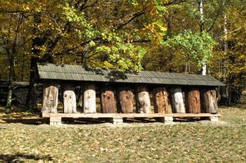včelíny ( © Jan P. Štěpánek 10/2013)