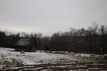  ( © Luděk Vláčil 12/2016)