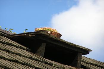 Netřesk na střeše měl chránit domy před zásahem blesku ( © Jan P. Štěpánek 09/2007)