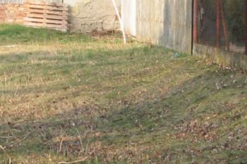 v tomto období je hrana količínské tvrze sice nepatrně, ale přesto ještě znatelně pozorovatelná (© D Dohňanský, 03/2016)