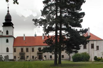  (© Alena Volná, 6/2008)