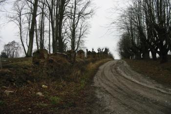 torza zámecké zdi kolem velkého parku na jv. (© D Dohňanský, 03/2016)