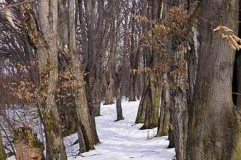  ( © Jan P. Štěpánek 03/2005)