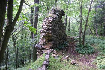 Netřeby (© Petr Havlík, 07/2009)