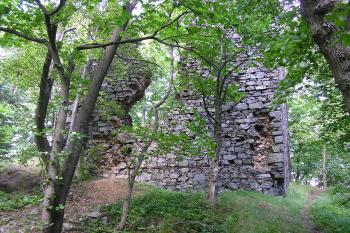 Netřeby (© Petr Havlík, 07/2009)