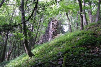 Netřeby (© Petr Havlík, 07/2009)