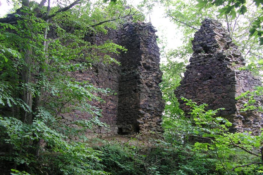 Netřeby