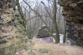  (© Zdeněk Susa, 12/2007)