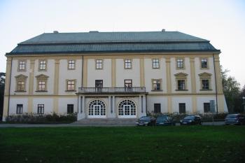 zámek od z. (© D Dohňanský, 11/2014)