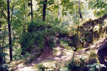 Nístějka (2003 ©Jiří Marounek)