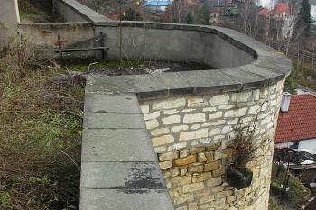 bašta ve zdi zahrad kanovnických domků (© Karel Husák, 11/2008)