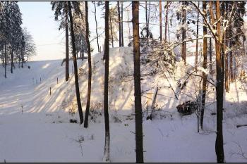 panorama pahorku jádra obklopeného mohutným příkopem - pohled od jihu ( © Jan P. Štěpánek 01/2006)