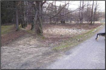 pohled od východu na prostor tzv. předhradí ( © Jan P. Štěpánek 2005)