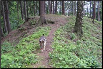 přístupová úzká část vedoucí na kruhovou plošinu jádra ( © Jan P. Štěpánek 09/2004)