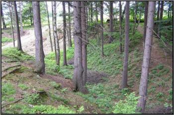 pohled z jádra do východní části příkopu ( © Jan P. Štěpánek 09/2004)