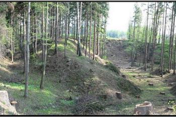 celkový pohled na lokalitu hrádku od severu ( © Jan P. Štěpánek 05/2004)