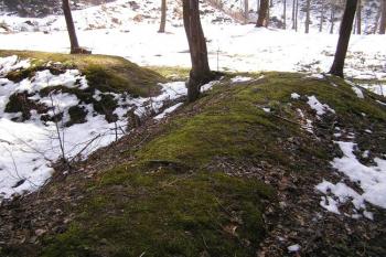 Pozůstatky valů předhradí ( © Jan P. Štěpánek 03/2007)