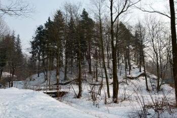 tvrziště na Zámčiskách od severozápadu ( © Jan P. Štěpánek 02/2012)