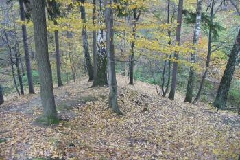 severní,prudce se snižující hrana lokality (© D Dohňanský, 10/2015)