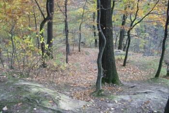 východní svah hrádku (© D Dohňanský, 10/2015)