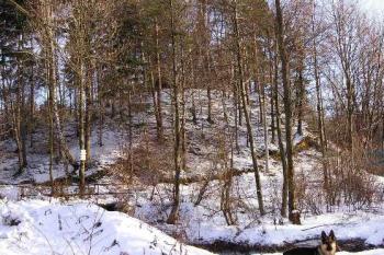 panorama hrádku od severu ( © Jan P. Štěpánek 12/2005)