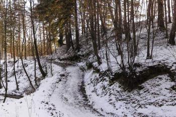 celkový pohled na hrádek (Vpravo) severu ( © Jan P. Štěpánek 12/2005)