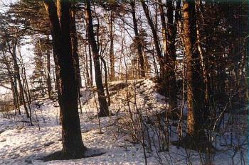  ( © Jan P. Štěpánek 2000)