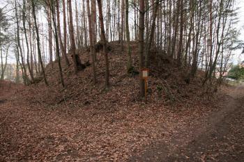 Pohled na vlastní tvrziště (© Petr Nožička 12/2019)